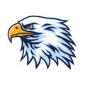 Eagle Logo Head Mascot Sports Team Vector