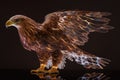 Eagle Macro Photovery Fast Shutter. Generative AI