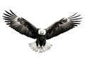 Ai Generated illustration Wildlife Concept of Eagle Royalty Free Stock Photo