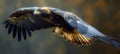 Eagle Majestic Bald in Flight A Symbol of Power and Freedom in the Wild, Generative Ai