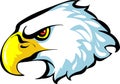 Eagle mascot in cool drawing