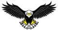 Eagle mascot spread the wings