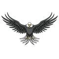 Eagle Mascot Spread The Wings Royalty Free Stock Photo