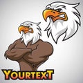 Eagle Mascot Vector Character Design Set