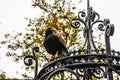 Eagle in Muiderslot castle. Royalty Free Stock Photo