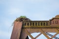 Eagle Nest on Bridge in Oregon