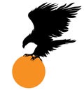 Eagle and a orange ball