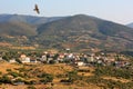 Eagle Over The Village