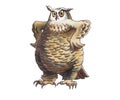 Eagle owl Royalty Free Stock Photo