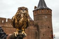 Eagle owl against Muiderslot castle. Holland. Royalty Free Stock Photo