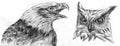 Eagle and Owl drawing Royalty Free Stock Photo