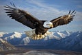 The eagle is a patriotic symbol of America, USA. Eagle flying on the background of mountains and canyon Royalty Free Stock Photo