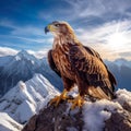 eagle perches proudly on a rock, with the backdrop of a great mountain landscape.