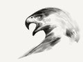 Eagle portrait black and white Royalty Free Stock Photo