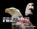 eagle profiles isolated on black background with words of Freedom seldom cheap, never free Royalty Free Stock Photo