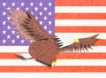 Eagle recycle paper craft with America flag