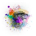 Eagle`s head illustration on white background with colorful creative elementswith colorful creative elements Royalty Free Stock Photo