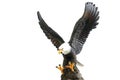 Eagle sculpture Royalty Free Stock Photo