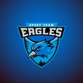 Eagle in a Shield. Abstract Vector Sport Emblem Template. League or Team Logo. University Crew Sign.