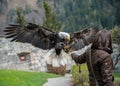 Eagle Show at Castle Hohenwerfen at the Austrian alps Royalty Free Stock Photo