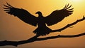Eagle silhouette on branch at sunset Royalty Free Stock Photo