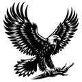 Eagle Silhouette vector Royalty Free Stock Photo