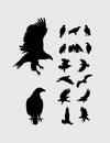 Eagle Silhouettes Collection Royalty Free Stock Photo