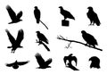 Eagle Silhouette, Flying Eagle Silhouette, Bald Eagle Silhouette, Eagle Vector Illustration V02