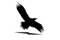 Eagle silhoutte Royalty Free Stock Photo