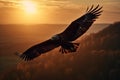 Eagle soaring with its wings spread wide against a warm sunset on the horizon, representing the freedom and greatness of the