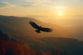 Eagle soaring with its wings spread wide against a warm sunset on the horizon, representing the freedom and greatness of the