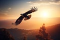 Eagle soaring with its wings spread wide against a warm sunset on the horizon, representing the freedom and greatness of the