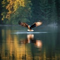 Eagle soaring over a serene lake nature photography. Generative AI