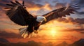An eagle soaring in the sky at sunset, AI Royalty Free Stock Photo