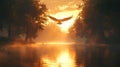 Eagle soaring sunrise river mist trees nature Royalty Free Stock Photo
