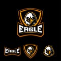 Eagle sport logo