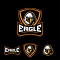 Eagle sport logo Royalty Free Stock Photo