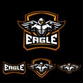 Eagle sport logo Royalty Free Stock Photo