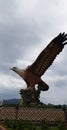 Eagle Square and City logo