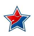 Eagle star, usa american pride, icon vector