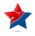 Eagle star, usa american pride, icon vector