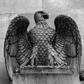 Eagle Statue