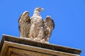 Eagle stone statue in Rome Royalty Free Stock Photo