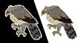 Gold Hand drawn traditional Japanese Eagle.Native American Eagle attacking.Old-school tattoo design. Royalty Free Stock Photo