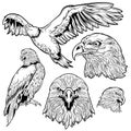 Eagle Tattoo Set