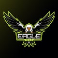 Eagle Team Mascot Logo - Animals Mascot Esports Logo Vector Illustration Design Concept.