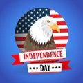 Eagle United States Of America Flag Independence Day