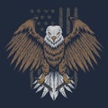 Eagle usa flag vector illustration Royalty Free Stock Photo