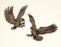 Eagle. Vector drawing Royalty Free Stock Photo