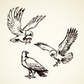 Eagle. Vector drawing Royalty Free Stock Photo